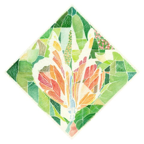 27_Hues of Unfading Essence wordpress.1