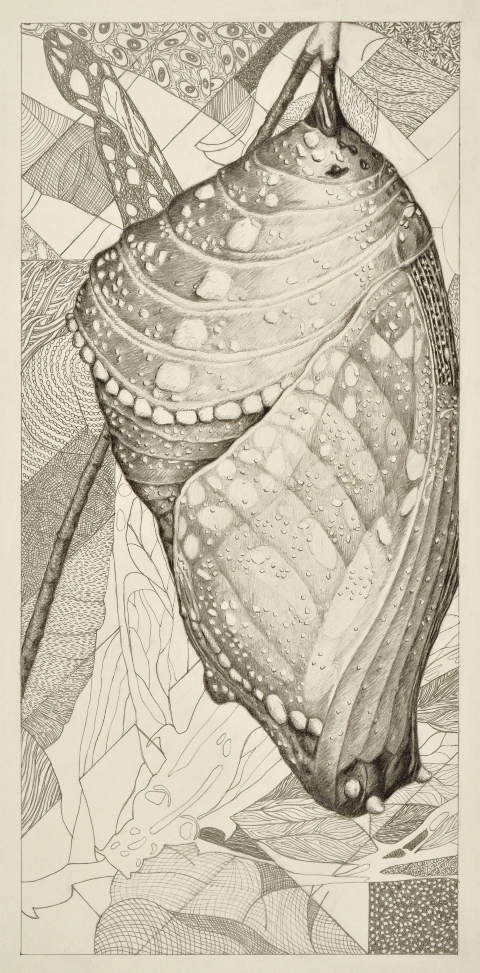 39_Cocoon wordpress.2