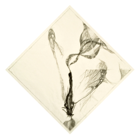 40_Dust to Dust wordpress.3