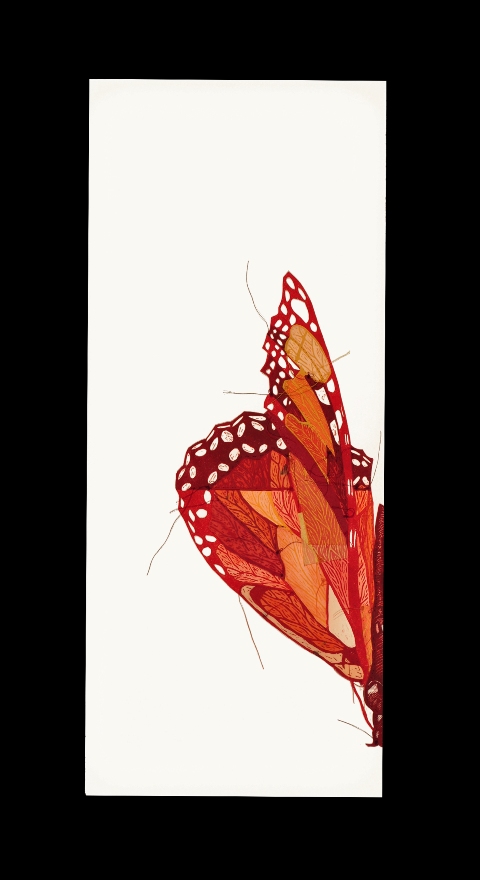 36_Remnant resized wordpress.4