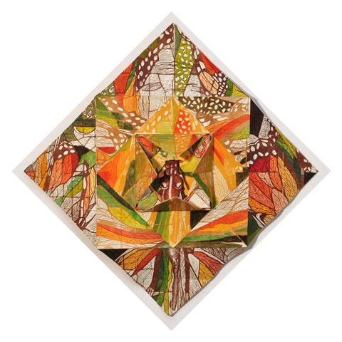 50_Of Many Wings wordpress.2